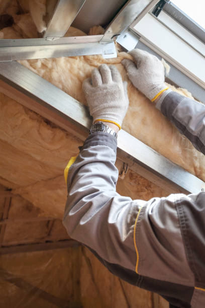 Best Commercial Insulation in Biggs, CA