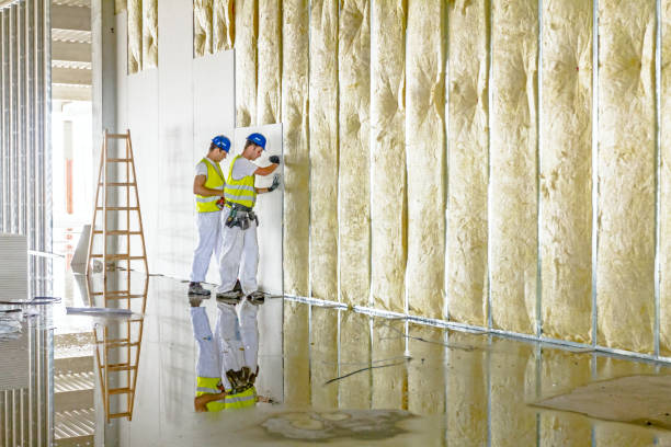 Best Insulation for Specific Applications in Biggs, CA